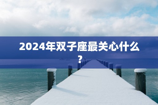 2025年双子座最关心什么？