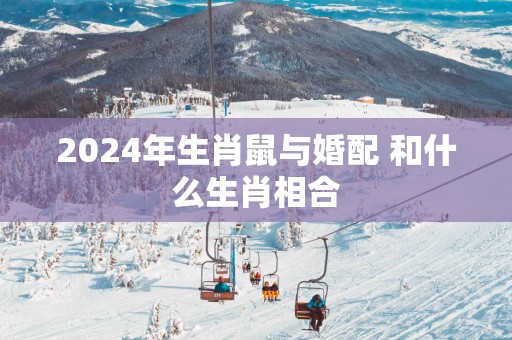 2025年生肖鼠与婚配 和什么生肖相合