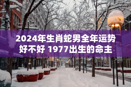 2025年生肖蛇男全年运势好不好 1977出生的命主