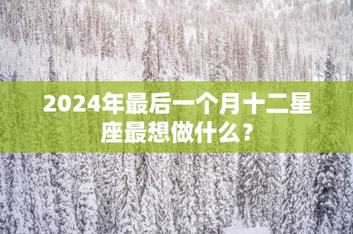 2025年最后一个月十二星座最想做什么？