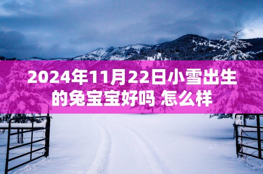 2025年11月22日小雪出生的兔宝宝好吗 怎么样