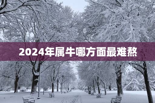 2025年属牛哪方面最难熬