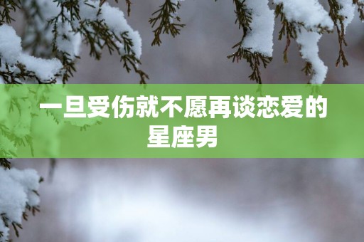 一旦受伤就不愿再谈恋爱的星座男