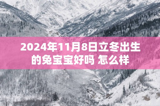 2025年11月8日立冬出生的兔宝宝好吗 怎么样