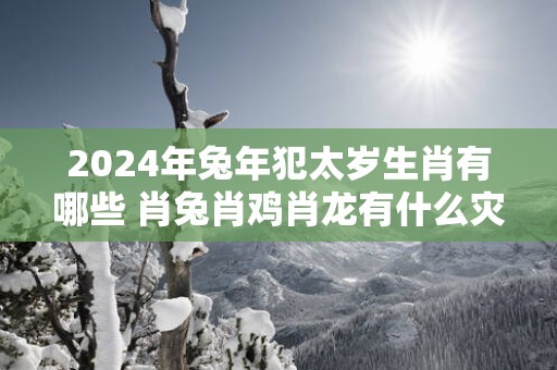 2025年蛇年犯太岁生肖有哪些 肖兔肖鸡肖龙有什么灾