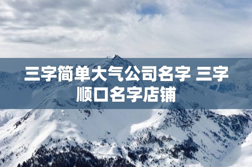 三字简单大气公司名字 三字顺口名字店铺