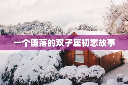 一个堕落的双子座初恋故事
