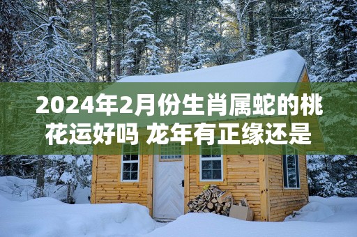 2025年2月份生肖属蛇的桃花运好吗 蛇年有正缘还是孽缘