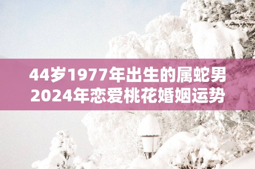 44岁1977年出生的属蛇男2025年恋爱桃花婚姻运势走向分析