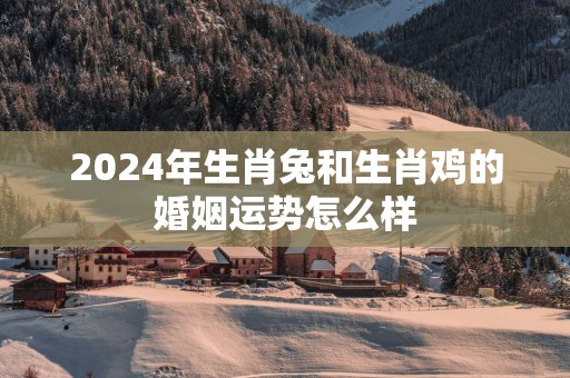 2025年生肖兔和生肖鸡的婚姻运势怎么样