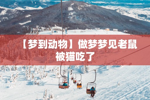 【梦到动物】做梦梦见老鼠被猫吃了
