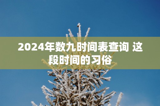 2025年数九时间表查询 这段时间的习俗
