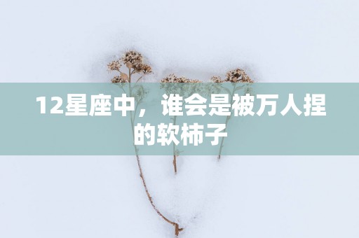 12星座中，谁会是被万人捏的软柿子