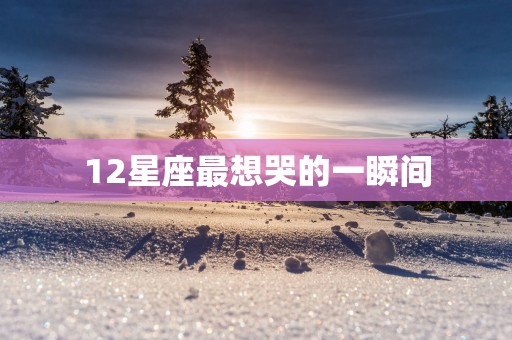 12星座最想哭的一瞬间
