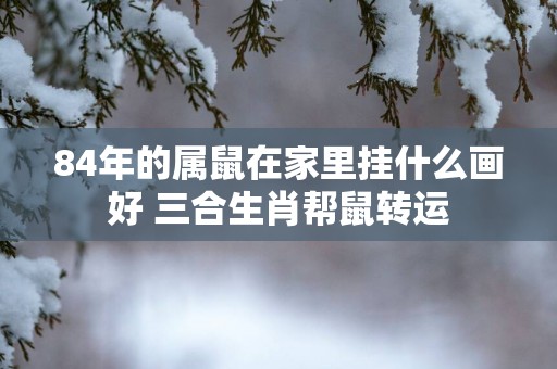 84年的属鼠在家里挂什么画好 三合生肖帮鼠转运