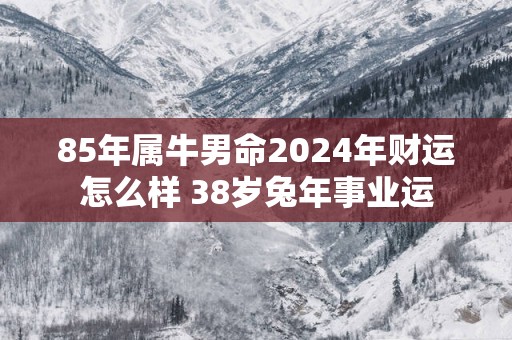 85年属牛男命2025年财运怎么样 38岁蛇年事业运