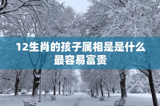 12生肖的孩子属相是是什么最容易富贵
