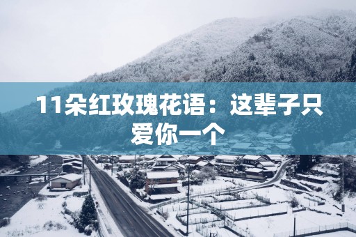 11朵红玫瑰花语：这辈子只爱你一个