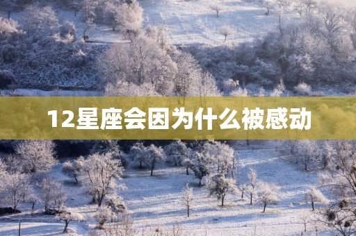 12星座会因为什么被感动