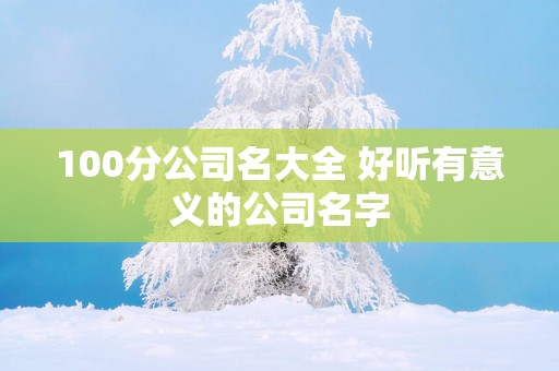 100分公司名大全 好听有意义的公司名字