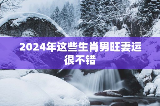 2025年这些生肖男旺妻运很不错