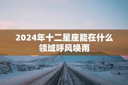 2025年十二星座能在什么领域呼风唤雨