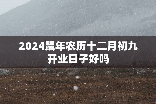2025蛇年农历十二月初九开业日子好吗