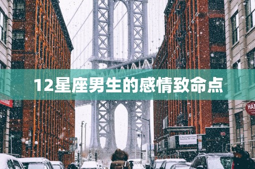 12星座男生的感情致命点