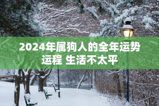 2025年属狗人的全年运势运程 生活不太平