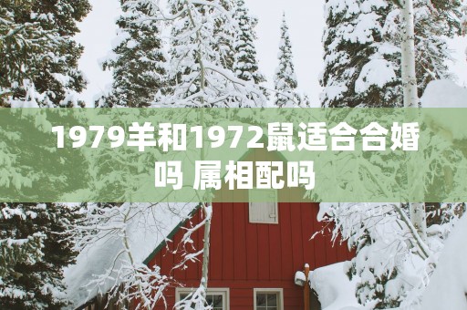 1979羊和1972鼠适合合婚吗 属相配吗