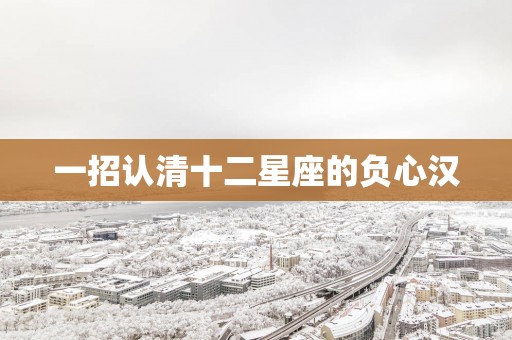 一招认清十二星座的负心汉