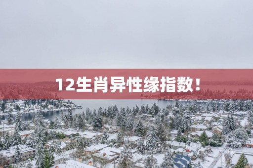 12生肖异性缘指数！