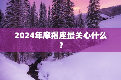 2025年摩羯座最关心什么？
