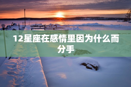 12星座在感情里因为什么而分手
