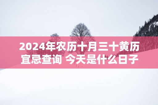 2025年农历十月三十黄历宜忌查询 今天是什么日子
