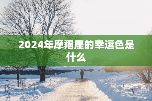 2025年摩羯座的幸运色是什么