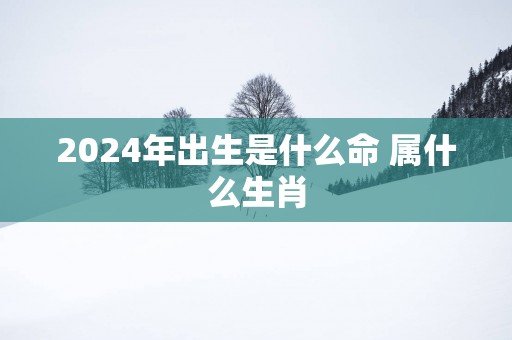 2025年出生是什么命 属什么生肖