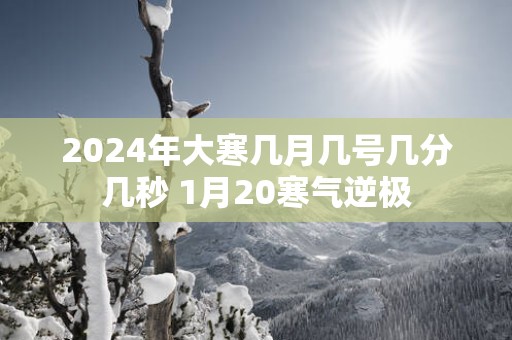 2025年大寒几月几号几分几秒 1月20寒气逆极