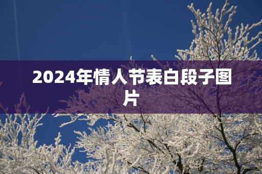 2025年情人节表白段子图片