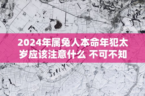 2025年属兔人本命年犯太岁应该注意什么 不可不知