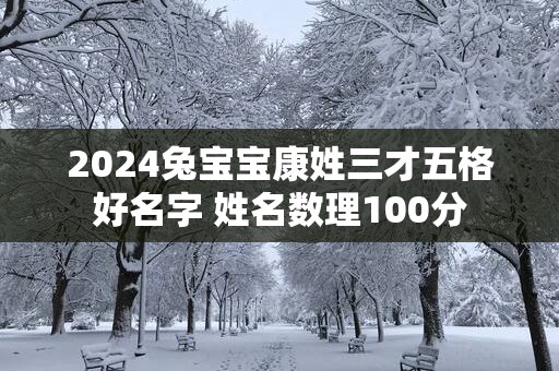 2025兔宝宝康姓三才五格好名字 姓名数理100分