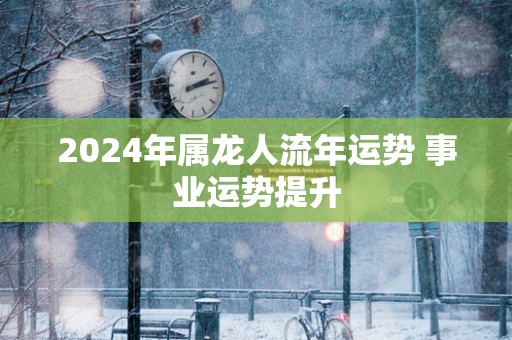 2025年属龙人流年运势 事业运势提升