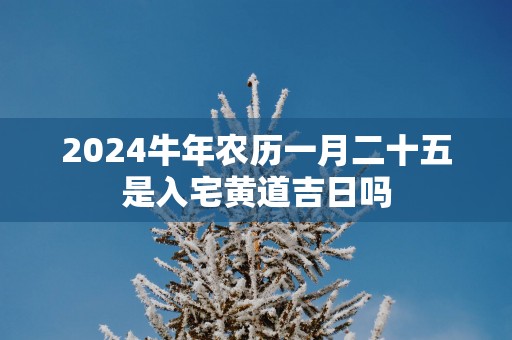 2025蛇年农历一月二十五是入宅黄道吉日吗