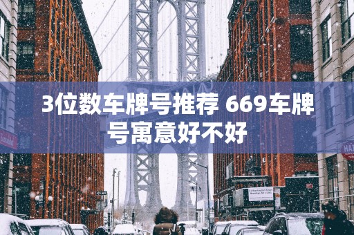 3位数车牌号推荐 669车牌号寓意好不好