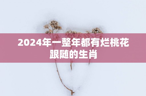 2025年一整年都有烂桃花跟随的生肖