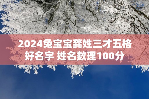 2025兔宝宝龚姓三才五格好名字 姓名数理100分