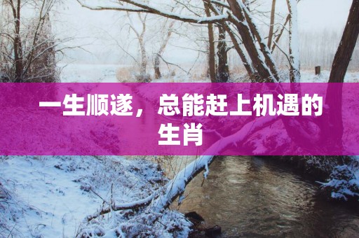 一生顺遂，总能赶上机遇的生肖