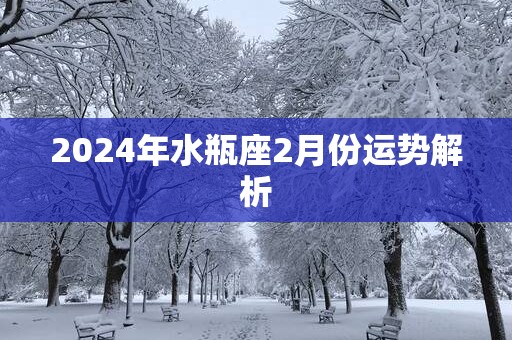 2025年水瓶座2月份运势解析