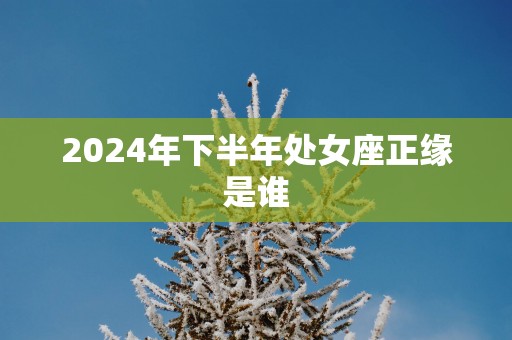 2025年下半年处女座正缘是谁