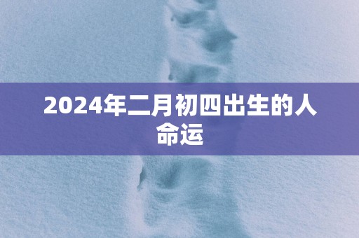 2025年二月初四出生的人命运